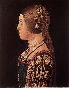 ARALDI, Alessandro Portrait of Barbara Pallavicino Spain oil painting reproduction